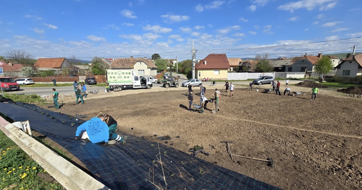 Felvidéki diákok segítettek zöldövezetet kialakítani Csíkszenttamáson